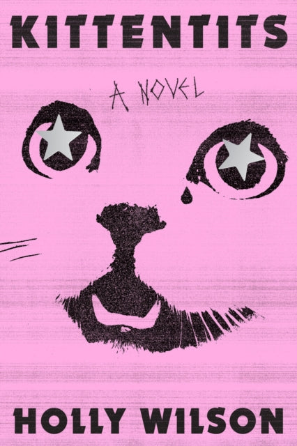 Book cover of: Kittentits. By: Holly Wilson