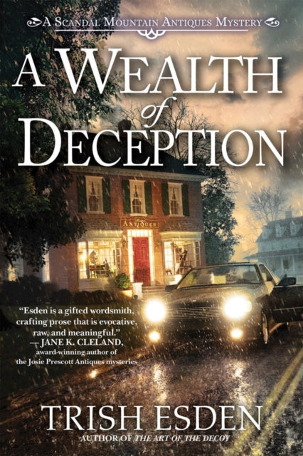 Book cover of: Wealth of Deception. By: Trish Esden