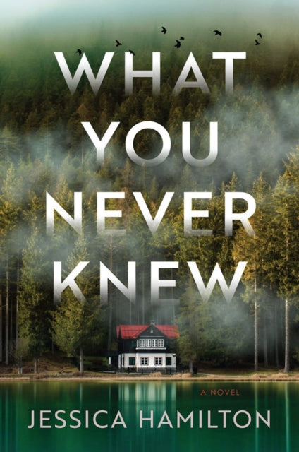 Book cover of: What You Never Knew. By: Jessica Hamilton