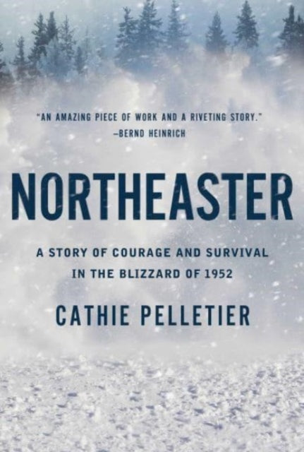 Book cover of: Northeaster. By: Cathie Pelletier