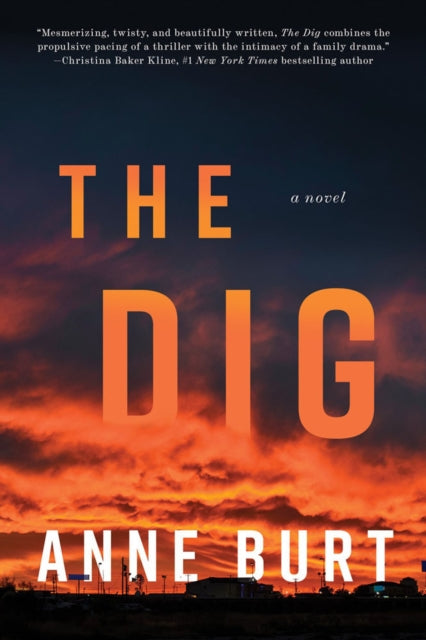 Book cover of: Dig. By: Anne Burt