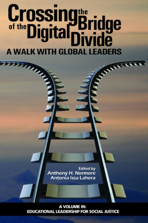 Crossing the Bridge of the Digital Divide