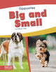 Book cover of: Big and Small. By: Kelsey Jopp