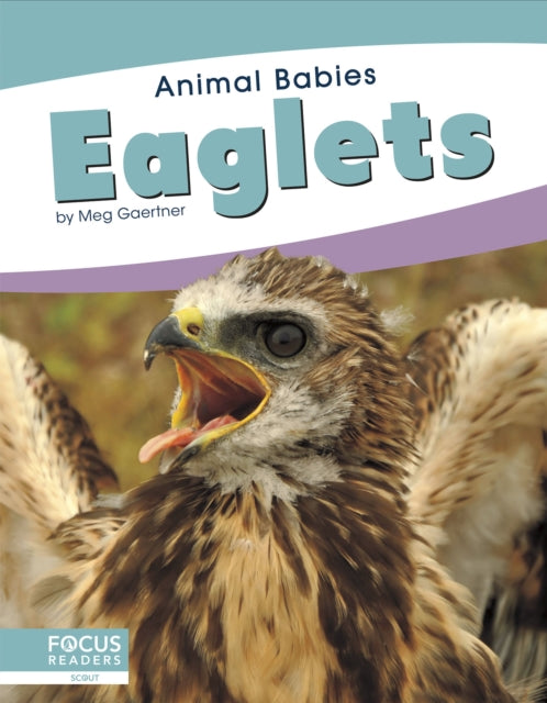 Book cover of: Eaglets. By: Meg Gaertner