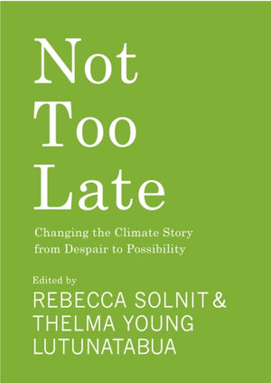 Not Too Late, Changing the Climate Story from Despair to Possibility