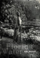 Book cover of: Florida Water. By: Aja Monet