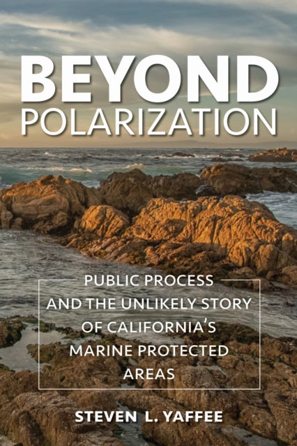 Book cover of: Beyond Polarization. By: Steven Lewis Yaffee