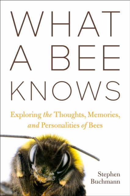 What a Bee Knows