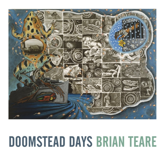Book cover of: Doomstead Days. By: Brian Teare