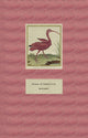Book cover of: Hatred of Translation. By: Nathanaël