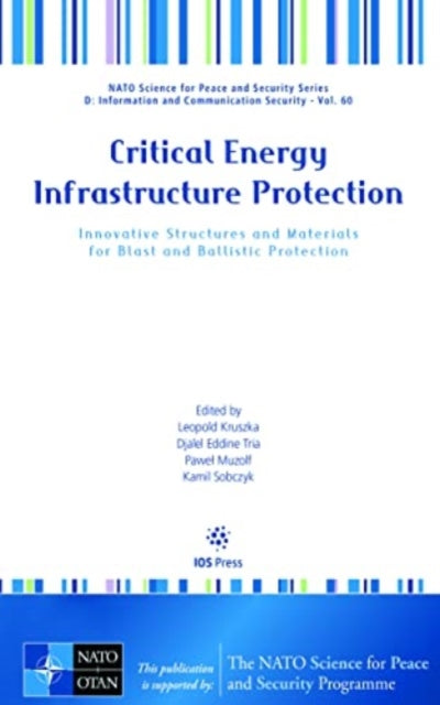 Critical Energy Infrastructure Protection