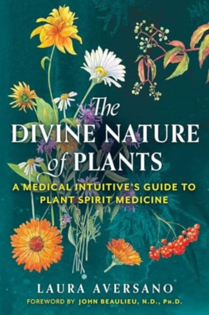 Book cover of: Divine Nature of Plants