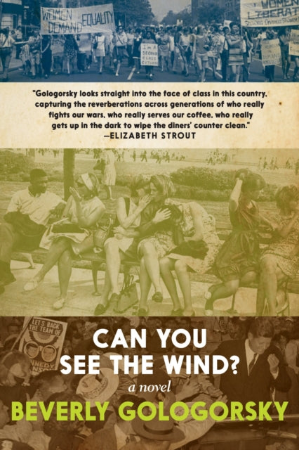 Can You See the Wind? 9781644211106 Beverly Gologorsky