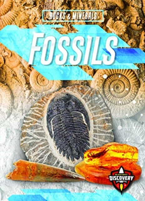 Book cover of: Fossils. By: Patrick Perish