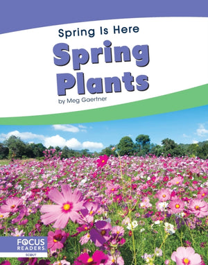 Spring Plants