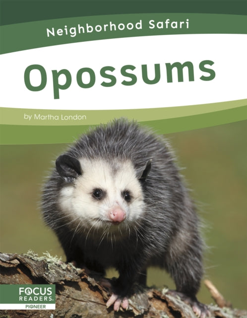 Book cover of: Opossums. By: Martha London