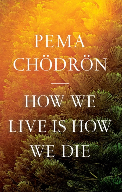 How We Live Is How We Die 9781645472407 Pema Chodron