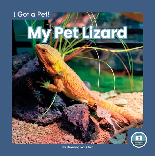 Book cover of: My Pet Lizard. By: Brienna Rossiter