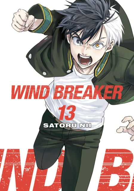 Book cover of: WIND BREAKER 13. By: Satoru Nii