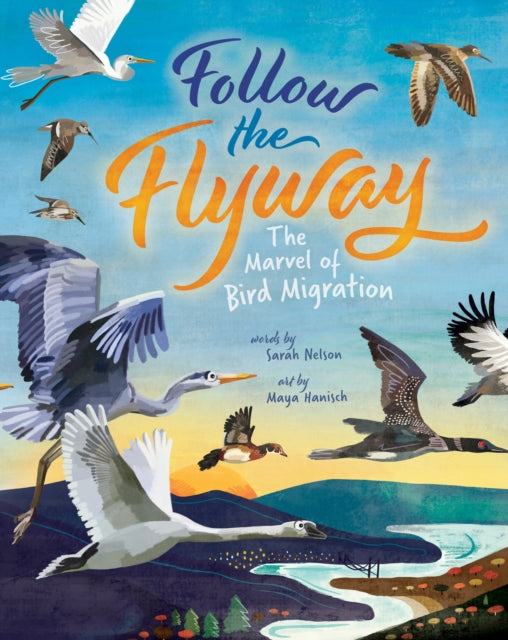 Book cover of: Follow the Flyway. By: Sarah Nelson