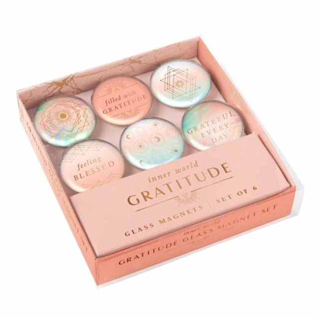 Book cover of: Gratitude: Glass Magnet Set (Set of 6). By: Insights