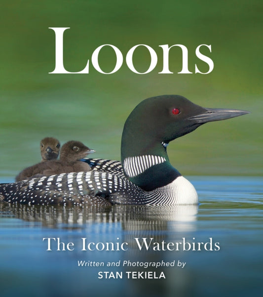 Book cover of: Loons. By: Stan Tekiela