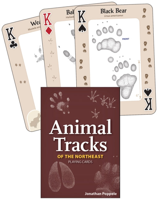 Book cover of: Animal Tracks of the Northeast Playing Cards
