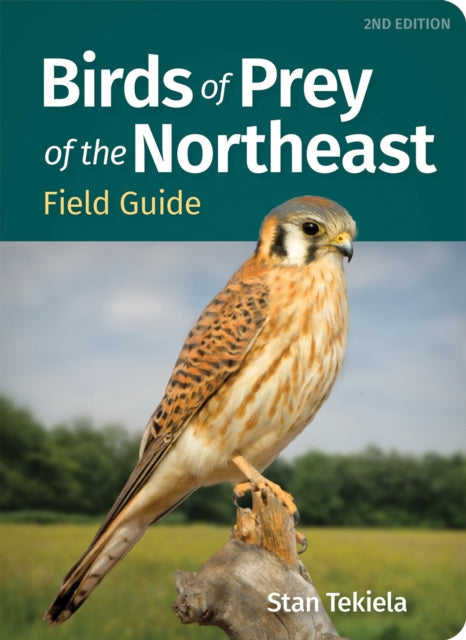 Book cover of: Birds of Prey of the Northeast Field Guide