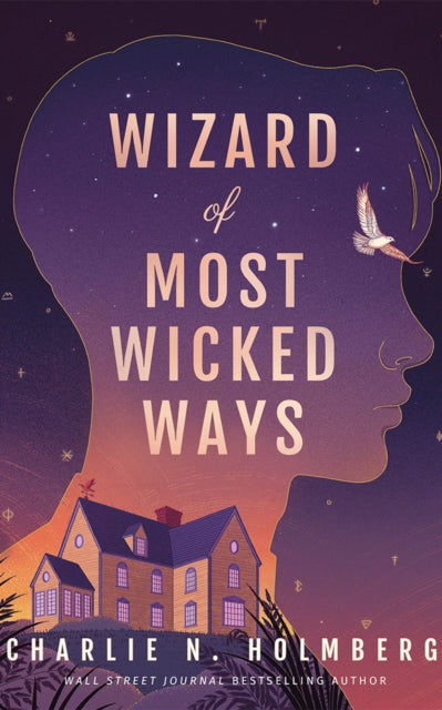 Wizard of Most Wicked Ways 9781662516825 Charlie N. Holmberg