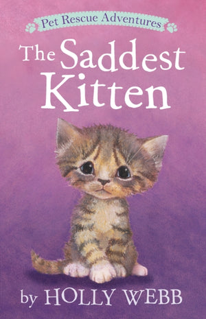 Saddest Kitten