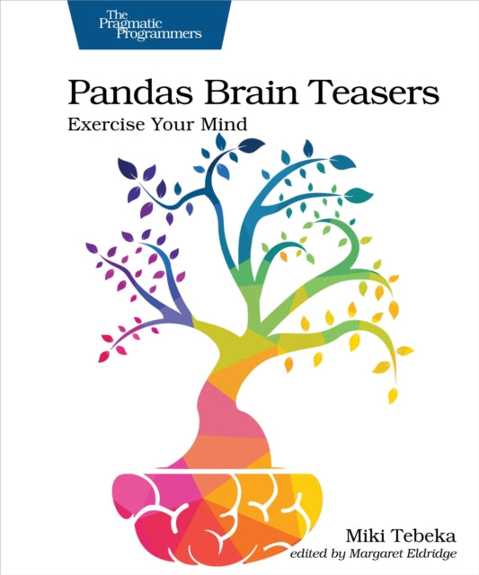 Book cover of: Pandas Brain Teasers. By: Miki Tebeka