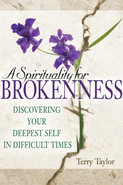 Book cover of: Spirituality for Brokenness. By: Terry Taylor