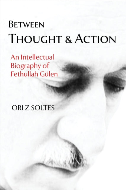 Book cover of: Between Thought and Action. By: Ori Soltes