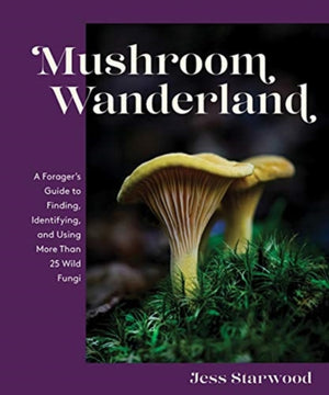Mushroom Wanderland