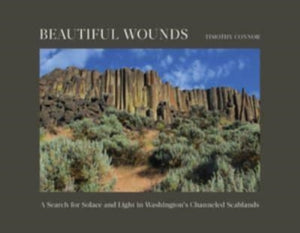Beautiful Wounds