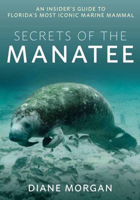 Book cover of: Secrets of the Manatee. By: Diane Morgan