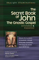 Book cover of: Secret Book of John. By: Stevan Davies