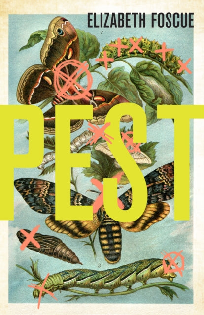 Book cover of: Pest. By: Elizabeth Foscue