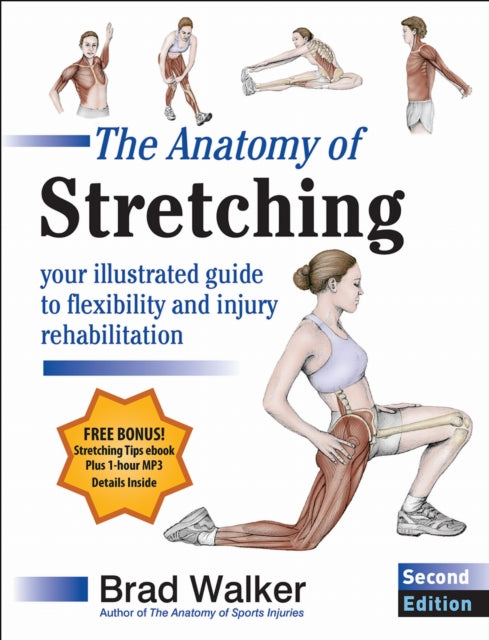 Book cover of: Anatomy of Stretching. By: Brad Walker