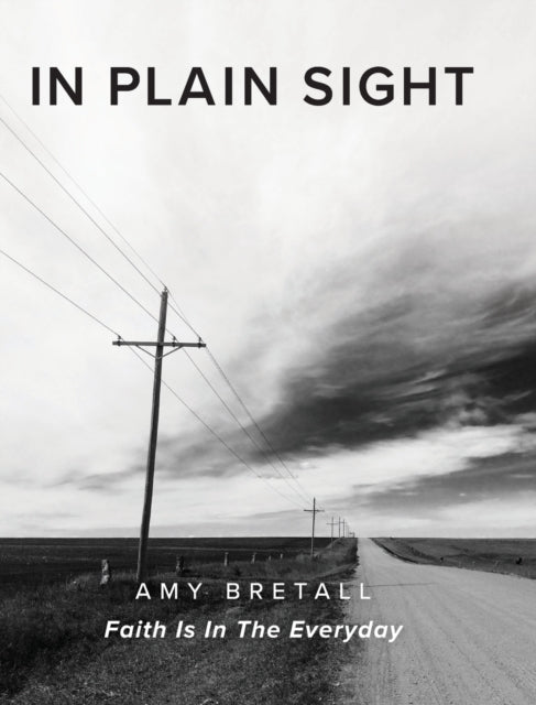 Book cover of: In Plain Sight