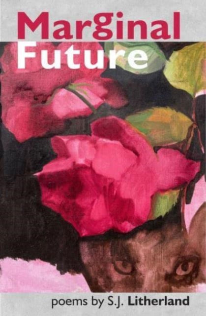 Book cover of: Marginal Future. By: S.J. Litherland