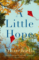 Book cover of: Little Hope