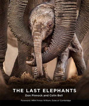Last Elephants