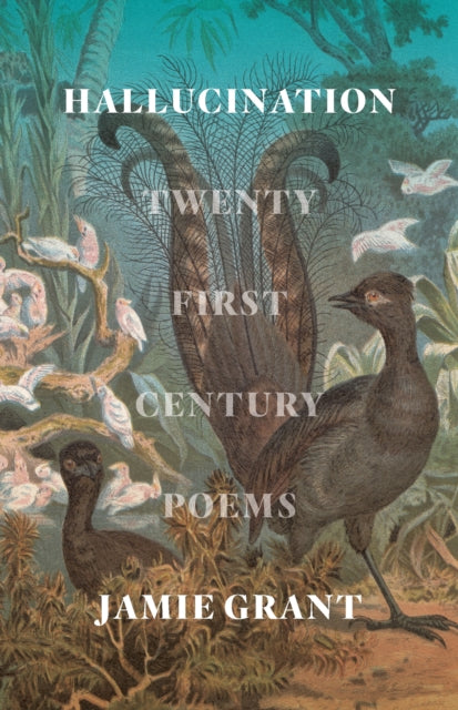 Hallucination 9781743799543 Jamie Grant