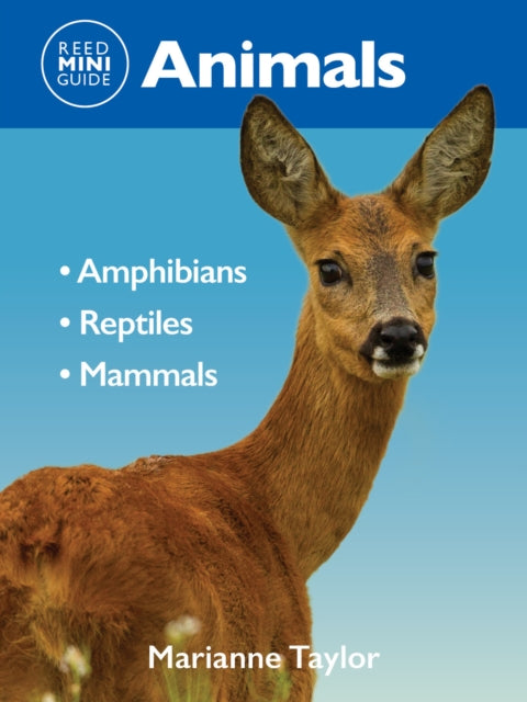 Book cover of: Reed Mini Guide: Animals