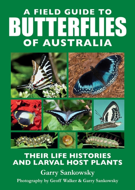 Book cover of: Field Guide to Butterflies of Australia. By: Garry Sankowsky