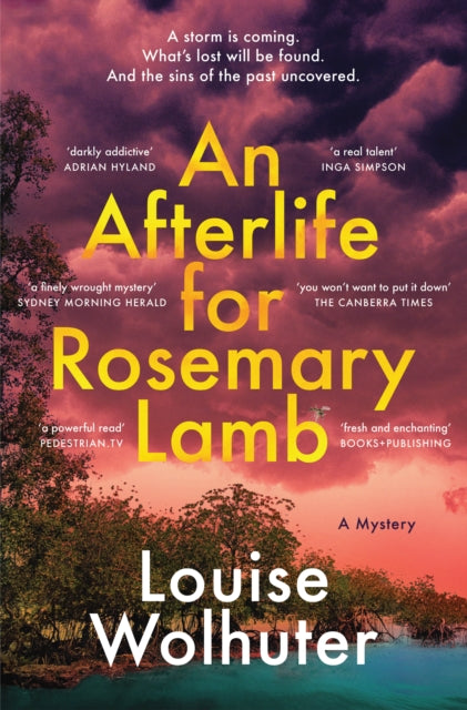 Book cover of: Afterlife for Rosemary Lamb