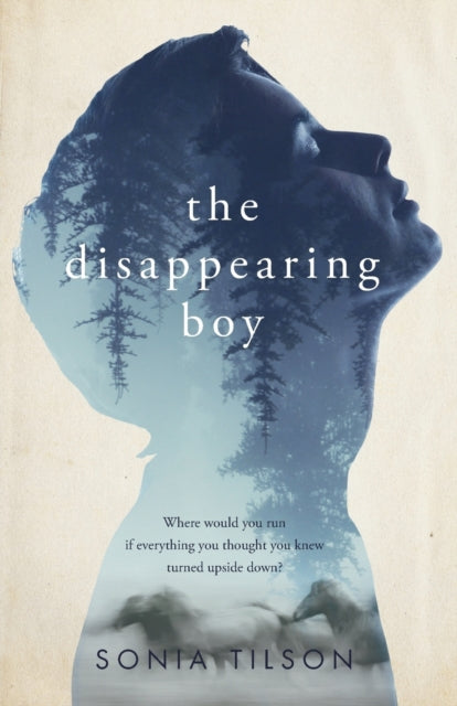 Book cover of: Disappearing Boy. By: Sonia Tilson