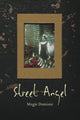 Book cover of: Street Angel