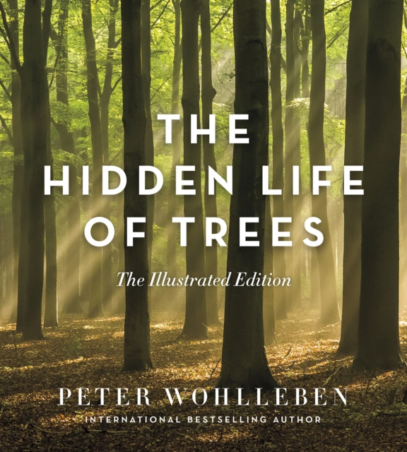 Hidden Life of Trees